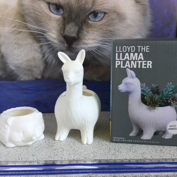 Porcelain planters Prickles and Lloyd - Picture 1 of 8